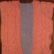Vesta_Cassida(z_knihy_Oko_k_oku)